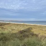 Strandflieder 109 *